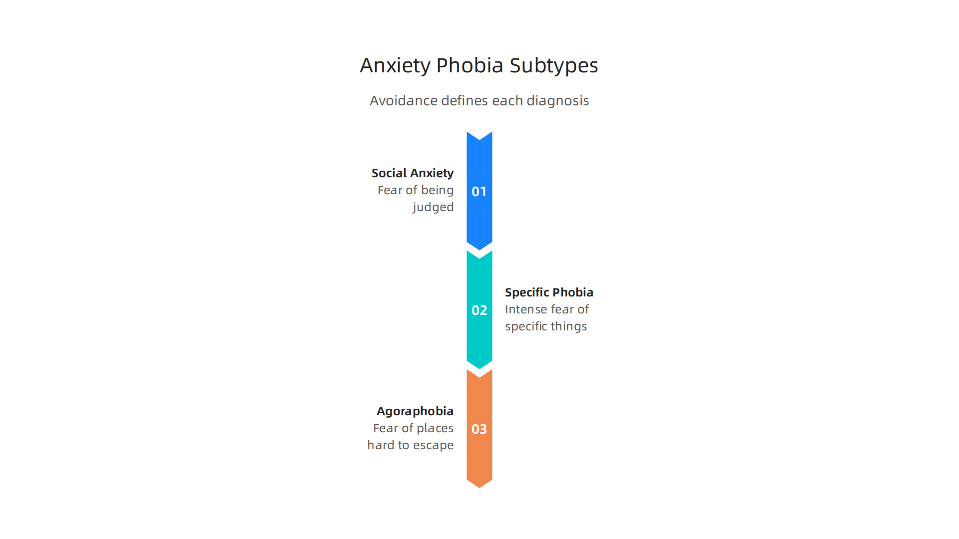 Key subtypes of anxiety phobias including Social Anxiety Disorder, Specific Phobias, and Agoraphobia.
