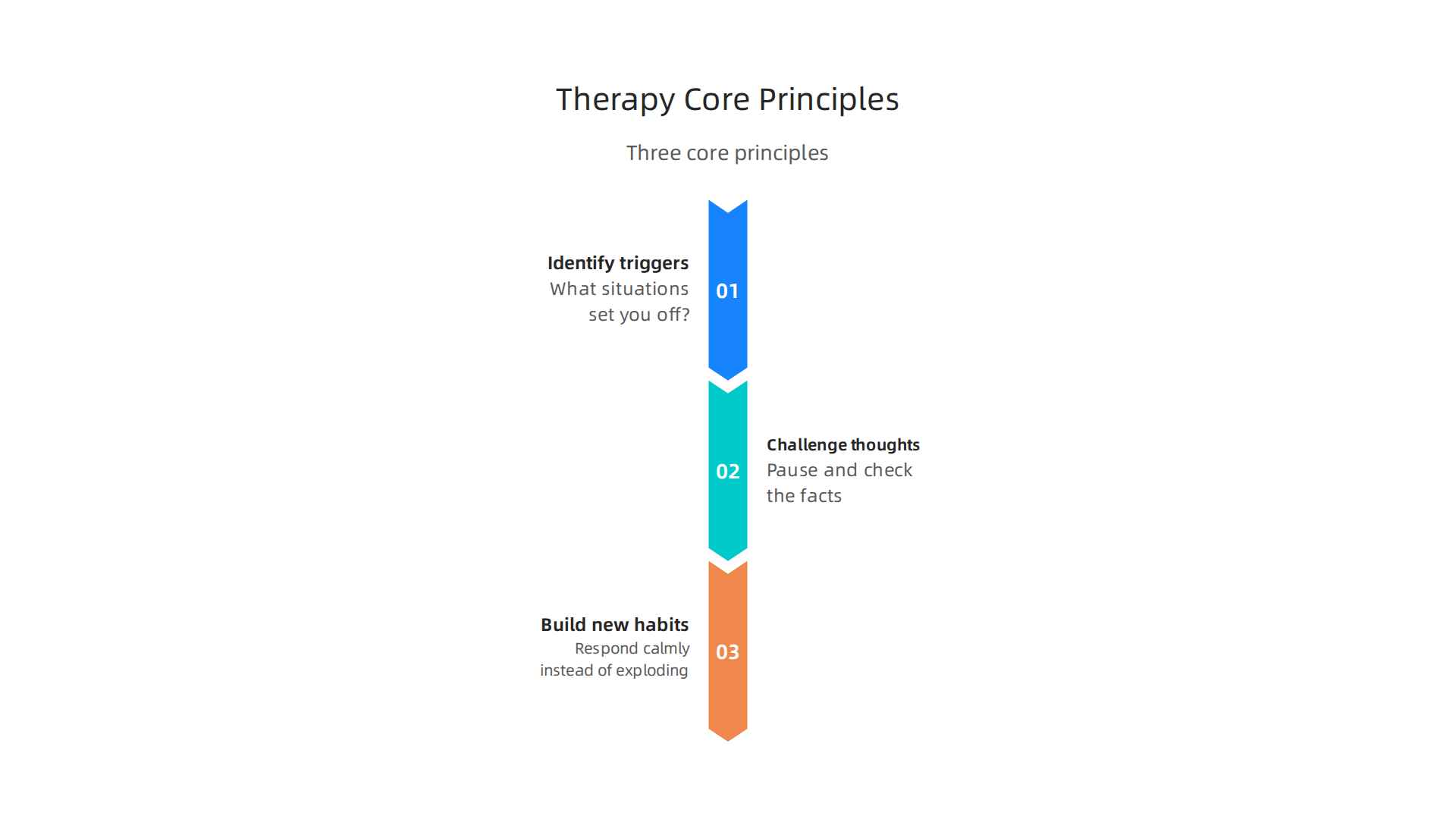 Three core principles guiding therapy for emotional regulation: identifying triggers, challenging thoughts, and building new habits.