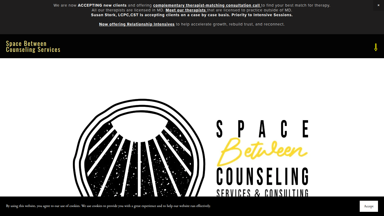 Screenshot of the Space Between Counseling Services homepage, offering therapy insights.