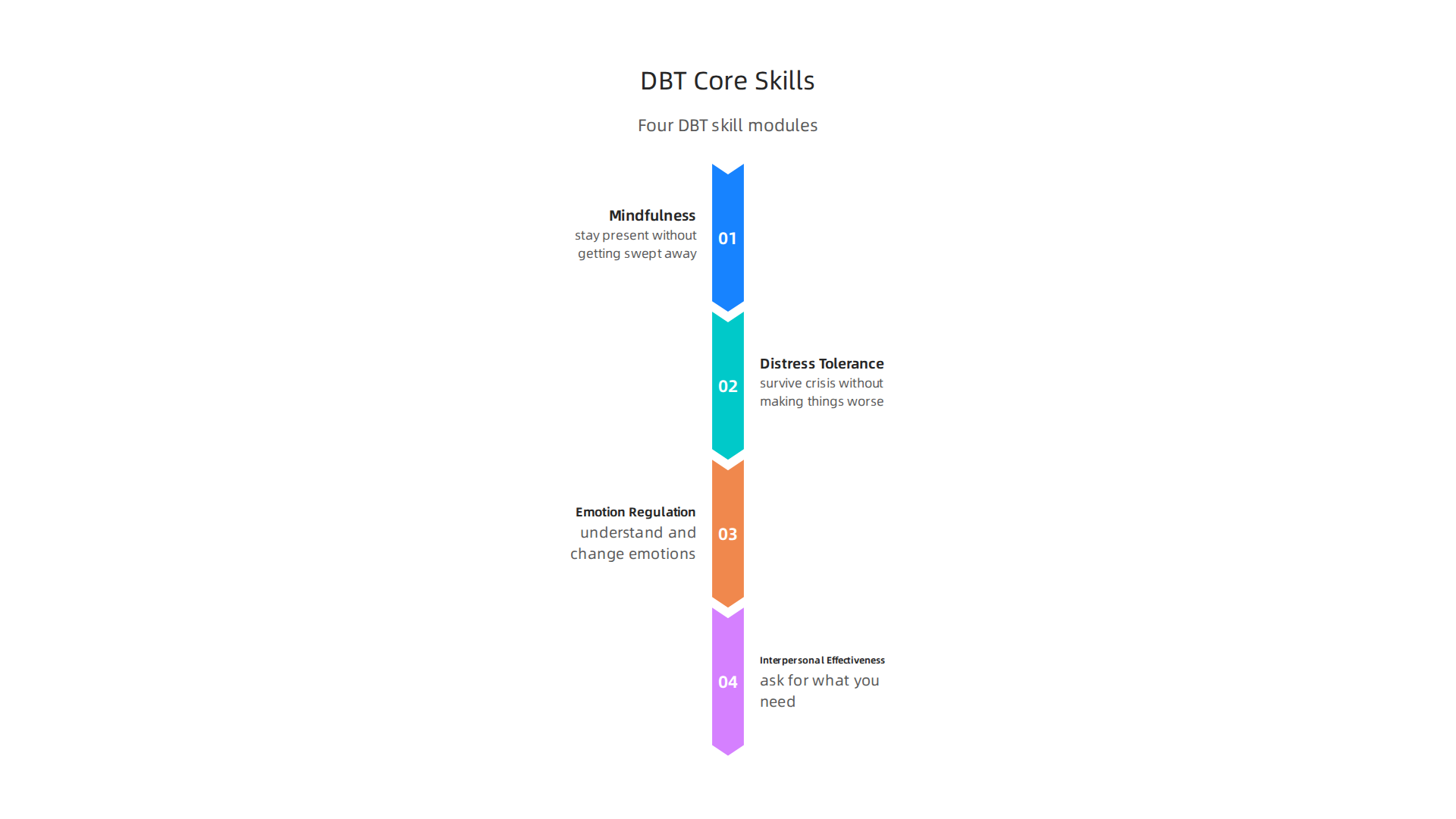 The four fundamental skill modules taught in Dialectical Behavior Therapy (DBT) for emotional regulation.