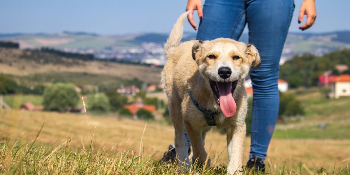 Engaging in physical activity outdoors can be a powerful natural therapy to elevate mood and reduce anxiety.