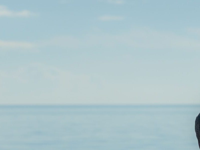 Cognitive Behavioral Therapy for Conversion Disorder What Research Shows and How to Get Help