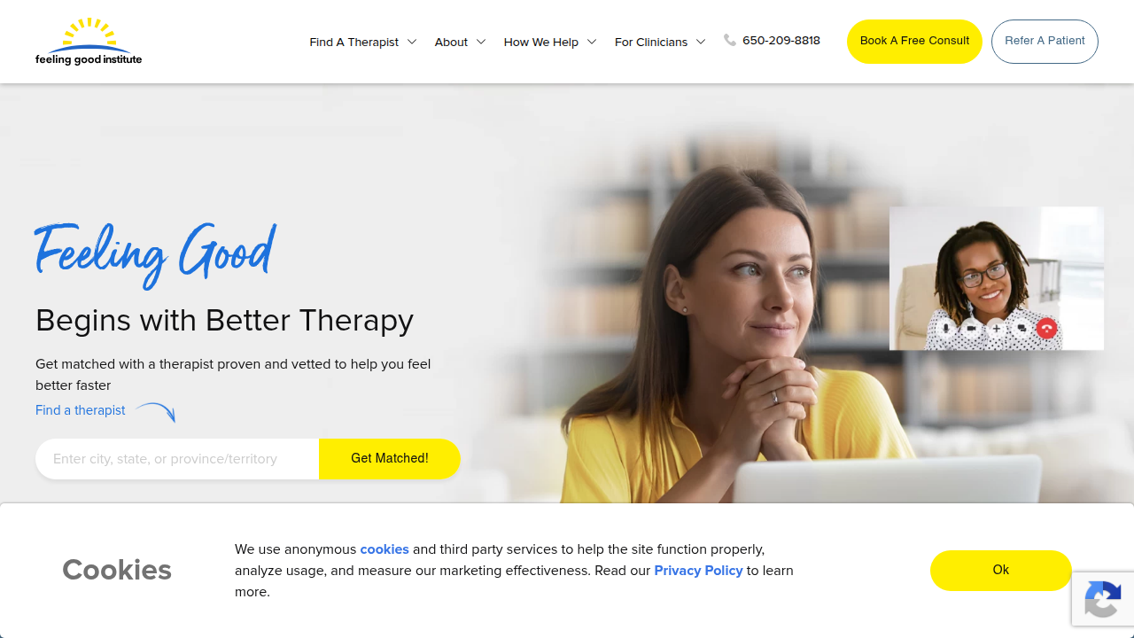 The homepage of Feeling Good Institute, a resource for therapy approaches including CBT for FND.